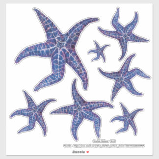 Stickers Starfish - BLEU