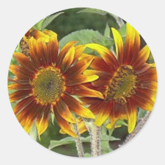 Stickers SunFlower Duo