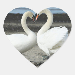Stickers Swan Love