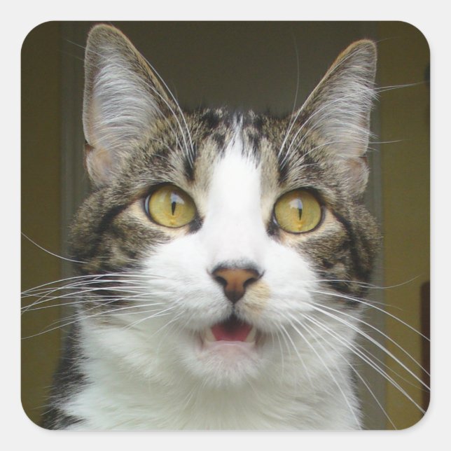 Stickers Syrus Shocked 0001 (Devant)