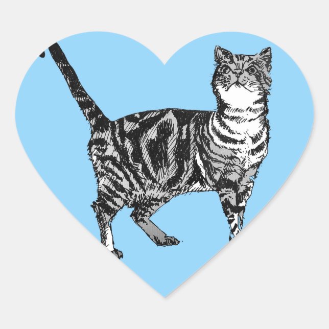 Stickers Tabby Cat Blue Cute chats animaux de comp (Devant)