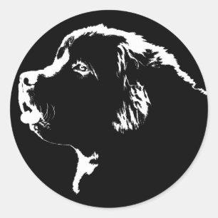 Stickers Terre-Neuve Stickers Chien de Terre-Neuve