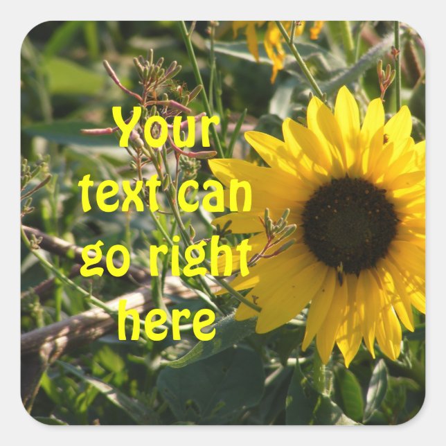 Stickers Tournesol (Devant)