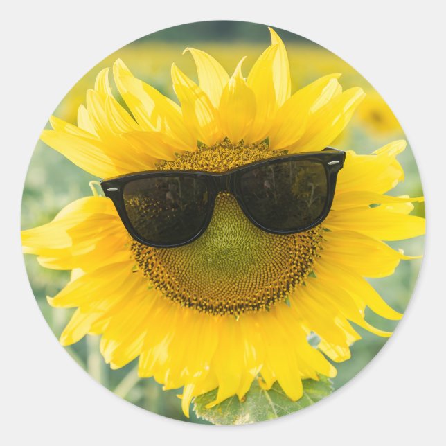 Stickers Tournesol | Mignons tournesols (Devant)