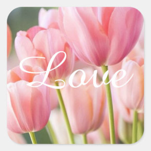 Stickers Tulipe rose et joints d'enveloppe
