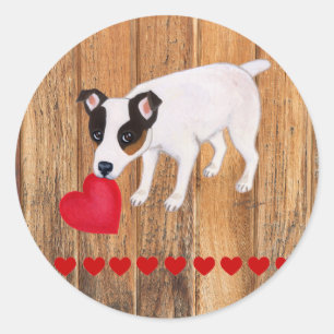 Stickers Valentine Jack Russell Terrier Bois