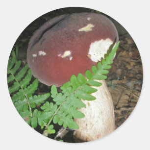 Stickers Velvet Mushroom