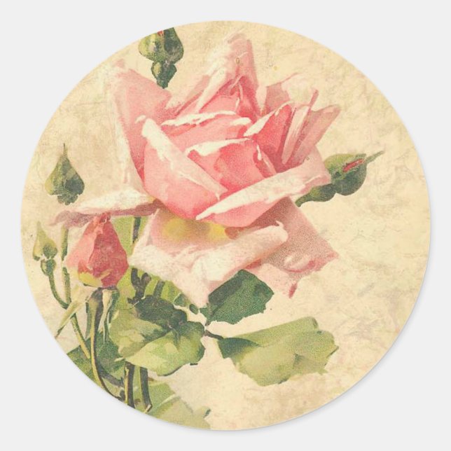 Stickers vintage Shabby Chic Rose Rose (Devant)