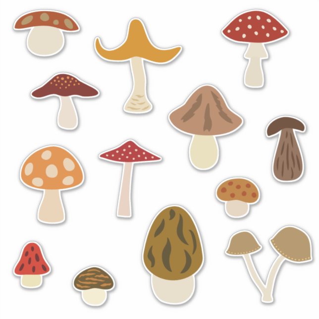 Stickers Vinyle Champignons d'automne (Devant)