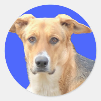 Stickers Visage Doggy