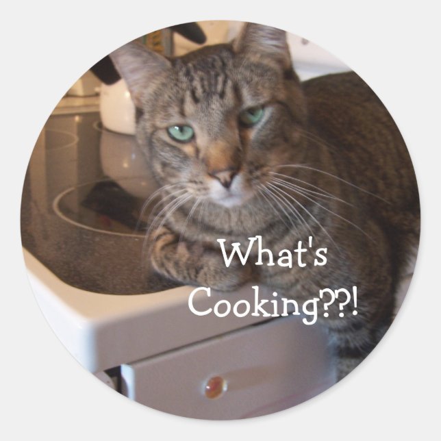 Stickers -What's Cooking??! (Front)