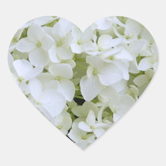 Stickers - White Hydrangea (Front)