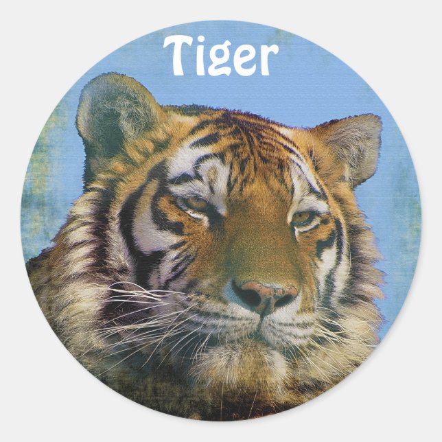 Stickers Wild Tiger Big Cat Wildlife (Devant)