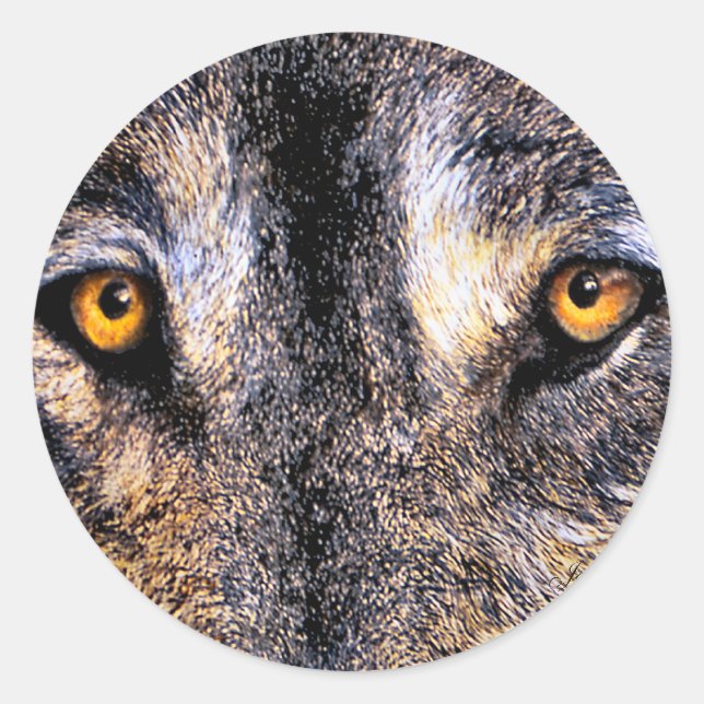 Stickers Wolf Eyes (Devant)