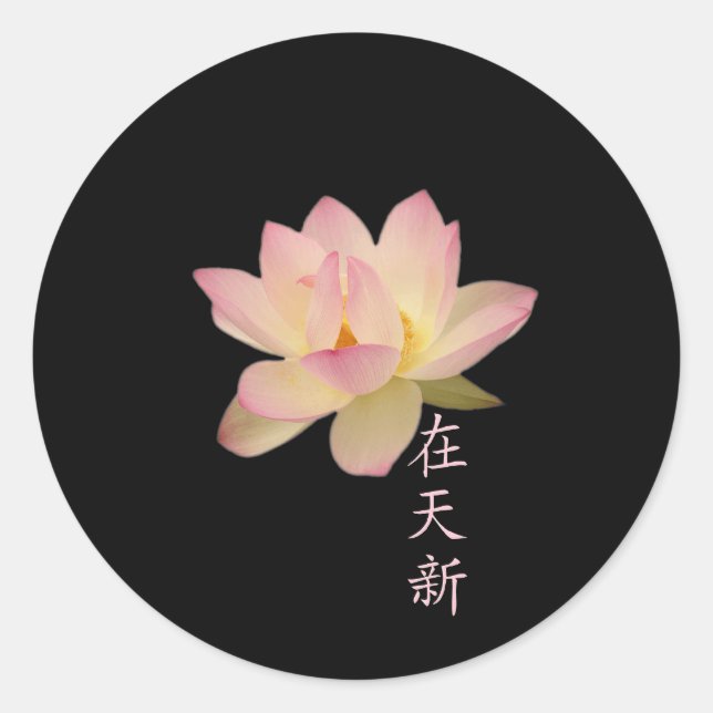 Stickers Zen Feing (Devant)