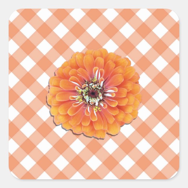 Stickers - Zinnia orange sur treillis (Devant)
