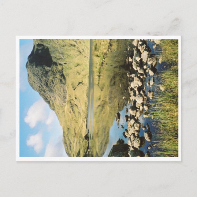 Stickle Tarn summer reflections, Lake District. Postcard (Front)