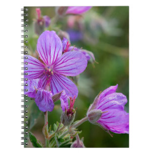Sticky geranium wildflowers notebook