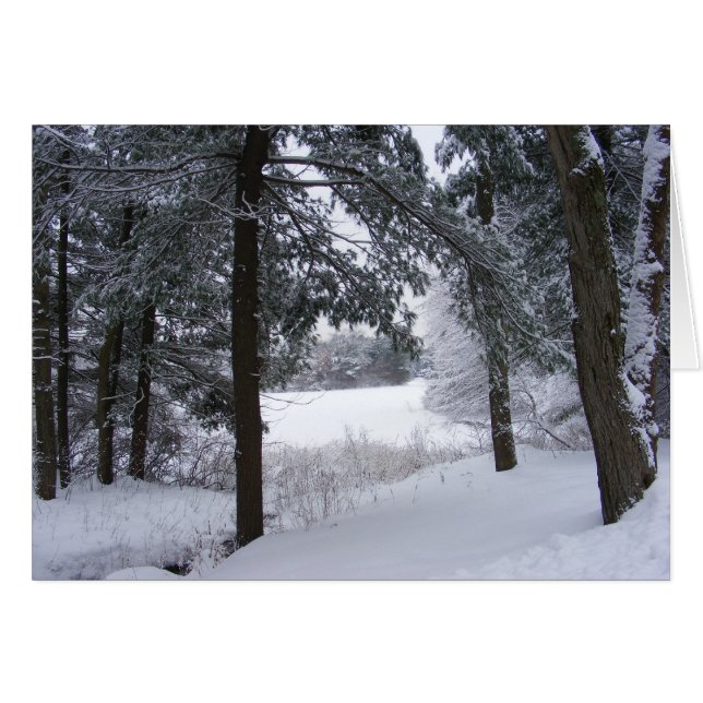 Sticky Snow 132 ~ carte (Devant horizontal)