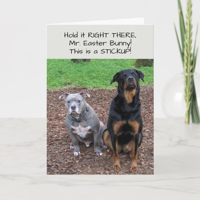 Sticup lapin de Pâques Carte de Pâques (Devant)