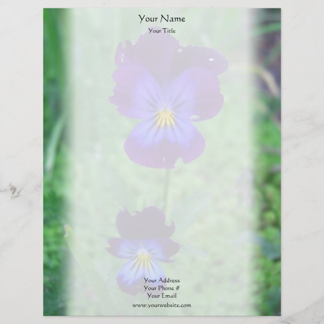 Still Alive Pansies Letterhead (Front)