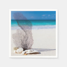 Still Life Beach