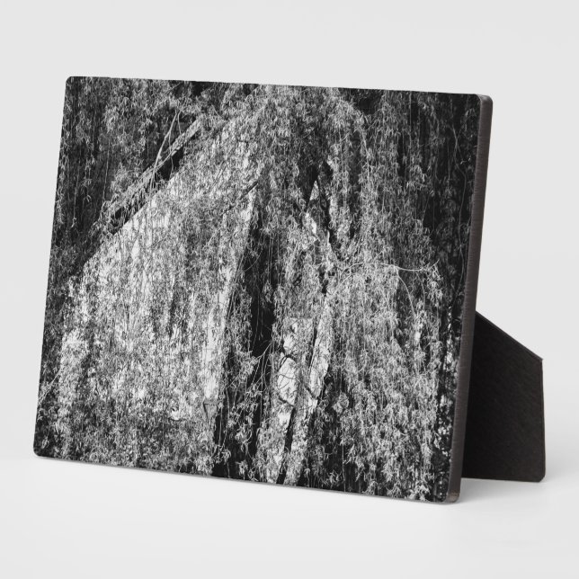 still life home plaque (Side)