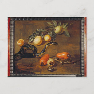Still Life of Fruits from Surinam and Reptiles Postcard