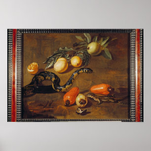 Still Life of Fruits from Surinam and Reptiles Poster