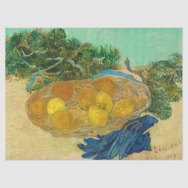 Still Life of Oranges and Lemons with Blue Gloves  Tissue Paper (Front)