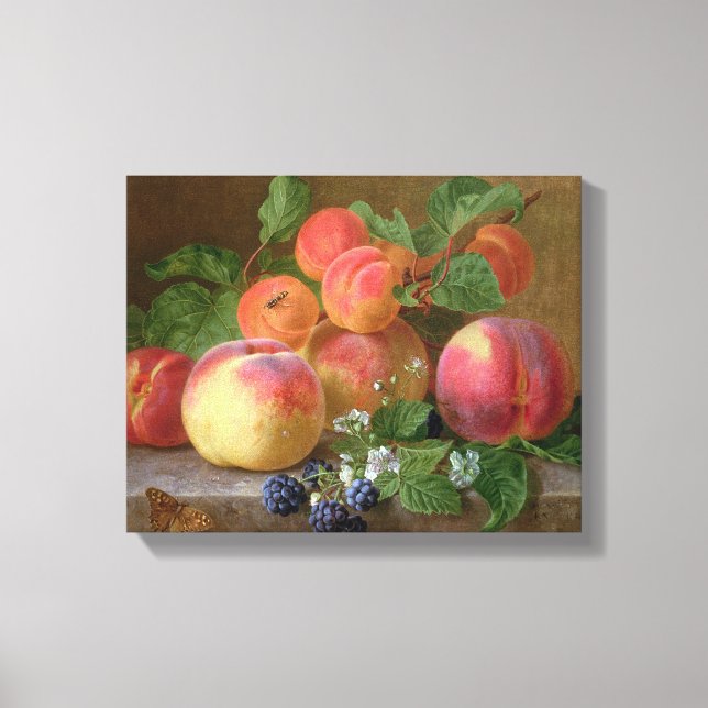Still Life of Peaches Canvas Print (Front)