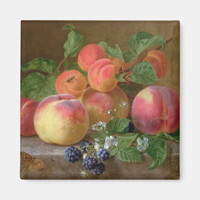 Still Life of Peaches Magnet (Front)