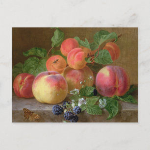Still Life of Peaches Postcard