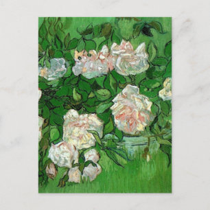 Still Life: Pink Roses by Vincent van Gogh Postcard