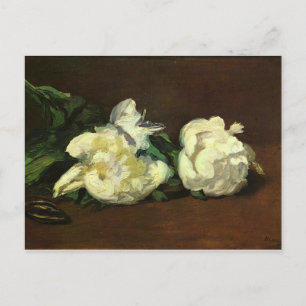 Still life, white peonies - Edouard Manet Postcard