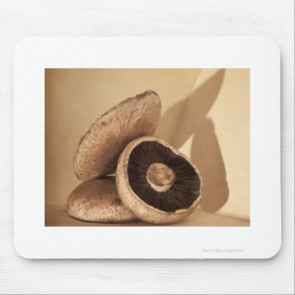 Still life with flat mushrooms and dramatic mouse pad