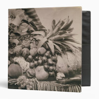 Still Life with Fruit, 1860 (sepia photo)