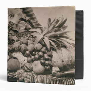 Still Life with Fruit, 1860 (sepia photo) Binder