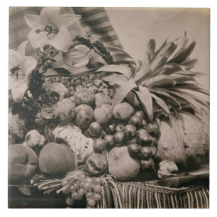 Still Life with Fruit, 1860 (sepia photo) Tile