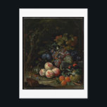 Still Life with Fruit, Foliage and Insects, c.1669 Postcard<br><div class="desc">Still Life with Fruit, Foliage and Insects, c.1669 (oil on canvas), Mignon, Abraham (1640-79) / Minneapolis Institute of Arts, MN, USA / Gift of Bruce B. Dayton / The Bridgeman Art Library | Image Collection Number: MNS488254</div>