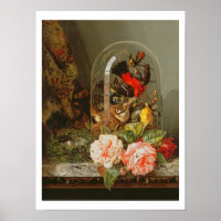 Still Life with Humming Bird in a Glass Dome