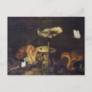 Still Life with Mushrooms and Butterflies Postcard
