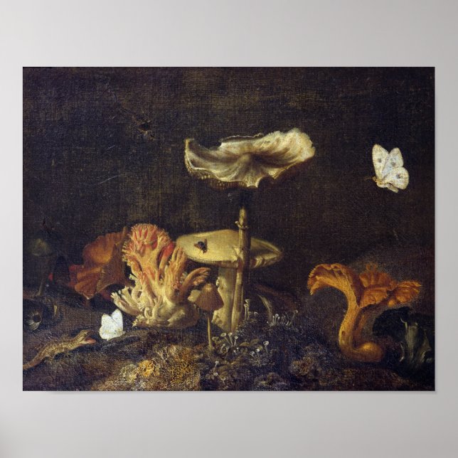 Still Life with Mushrooms and Butterflies Poster (Front)