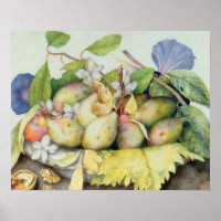 Still life with Plums, Walnuts and Jasmine (w/c on