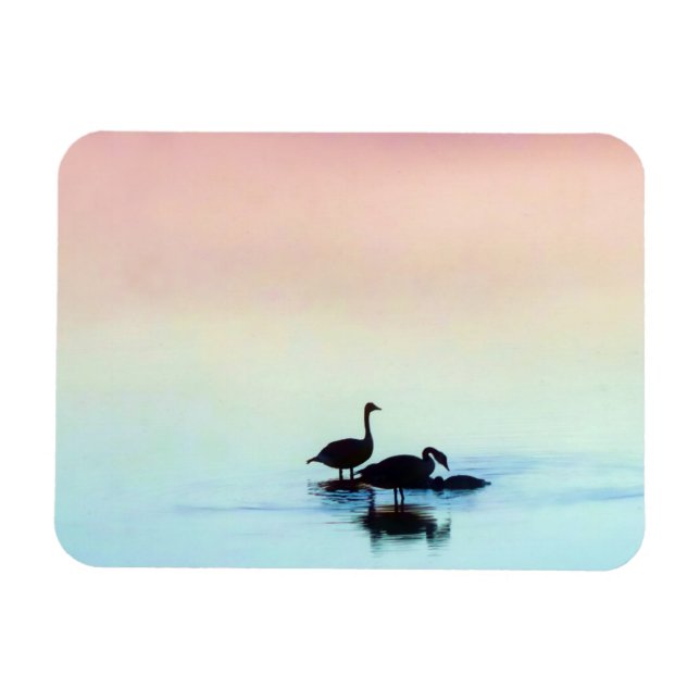 Still Magnet (Horizontal)