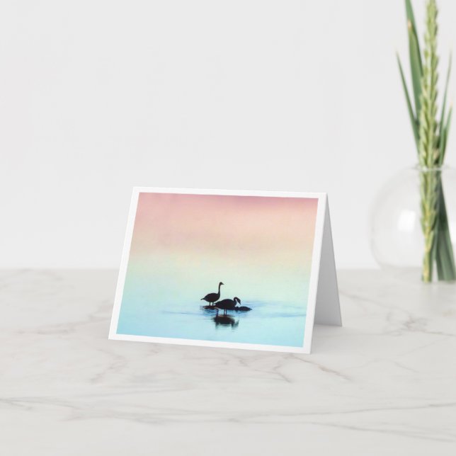 Still Note Card (Front)