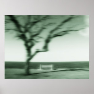 still shadows poster