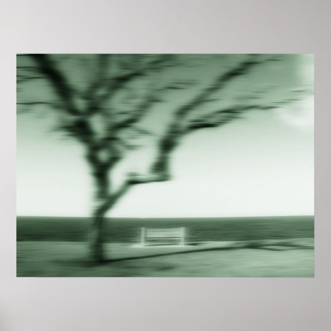 still shadows poster (Front)