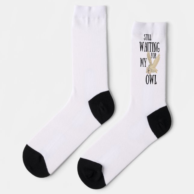 Still waiting for my owl funny magic school letter socks (Left)
