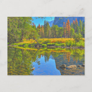 Still Water Postcard